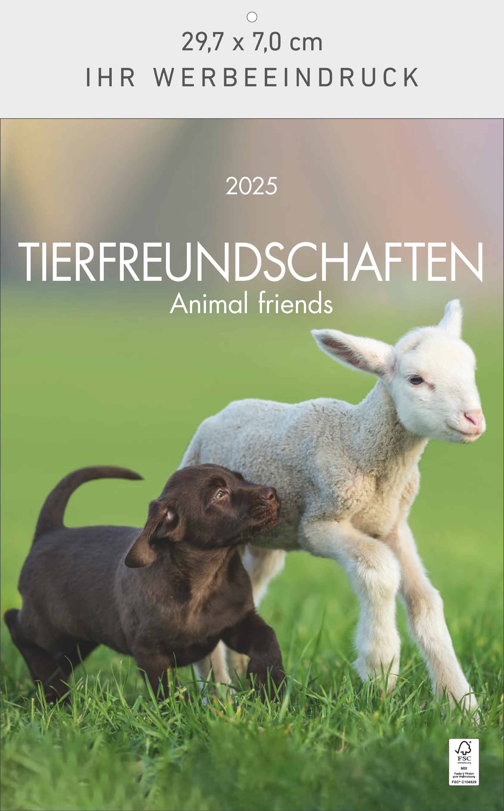 Tierfreundschaften - Animal friends