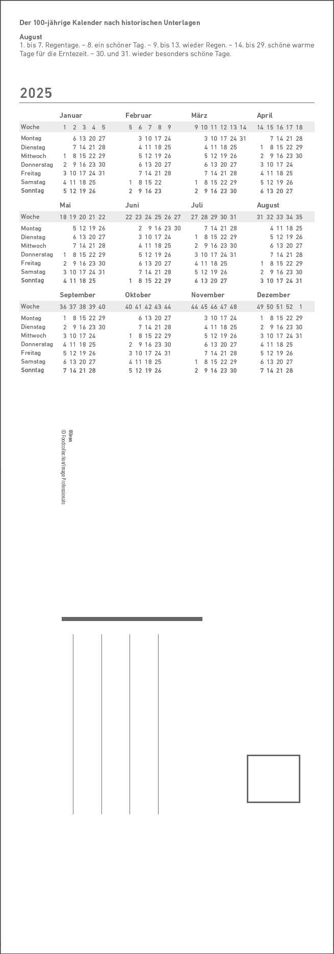 Küchenkalender Kräuter & Gewürze