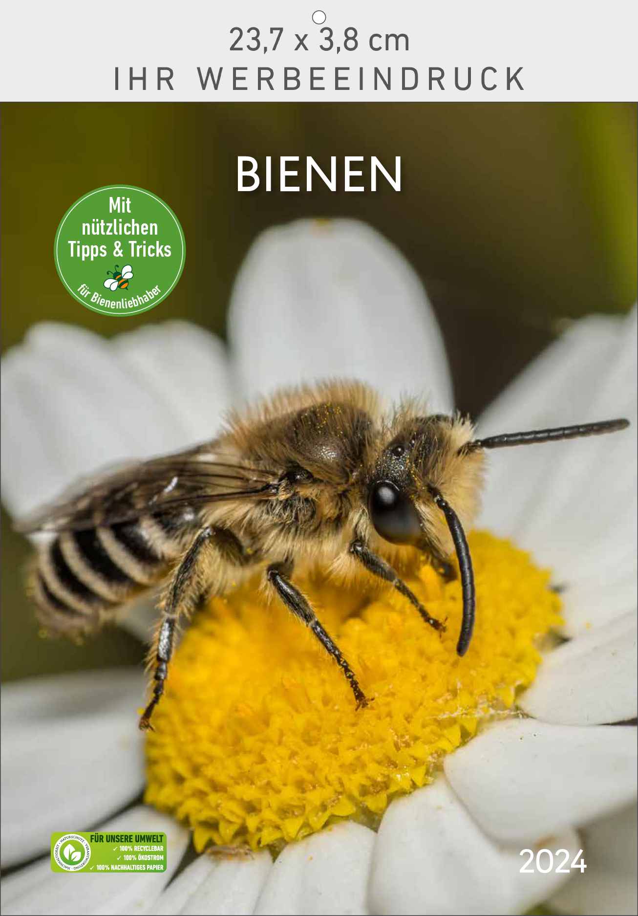 Bienen
-neuer Titel-