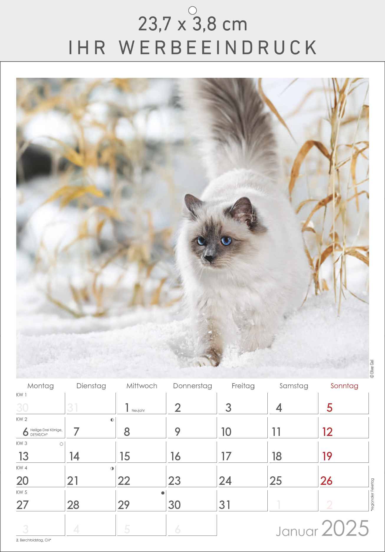 Meine Tiere - Der Tierkalender