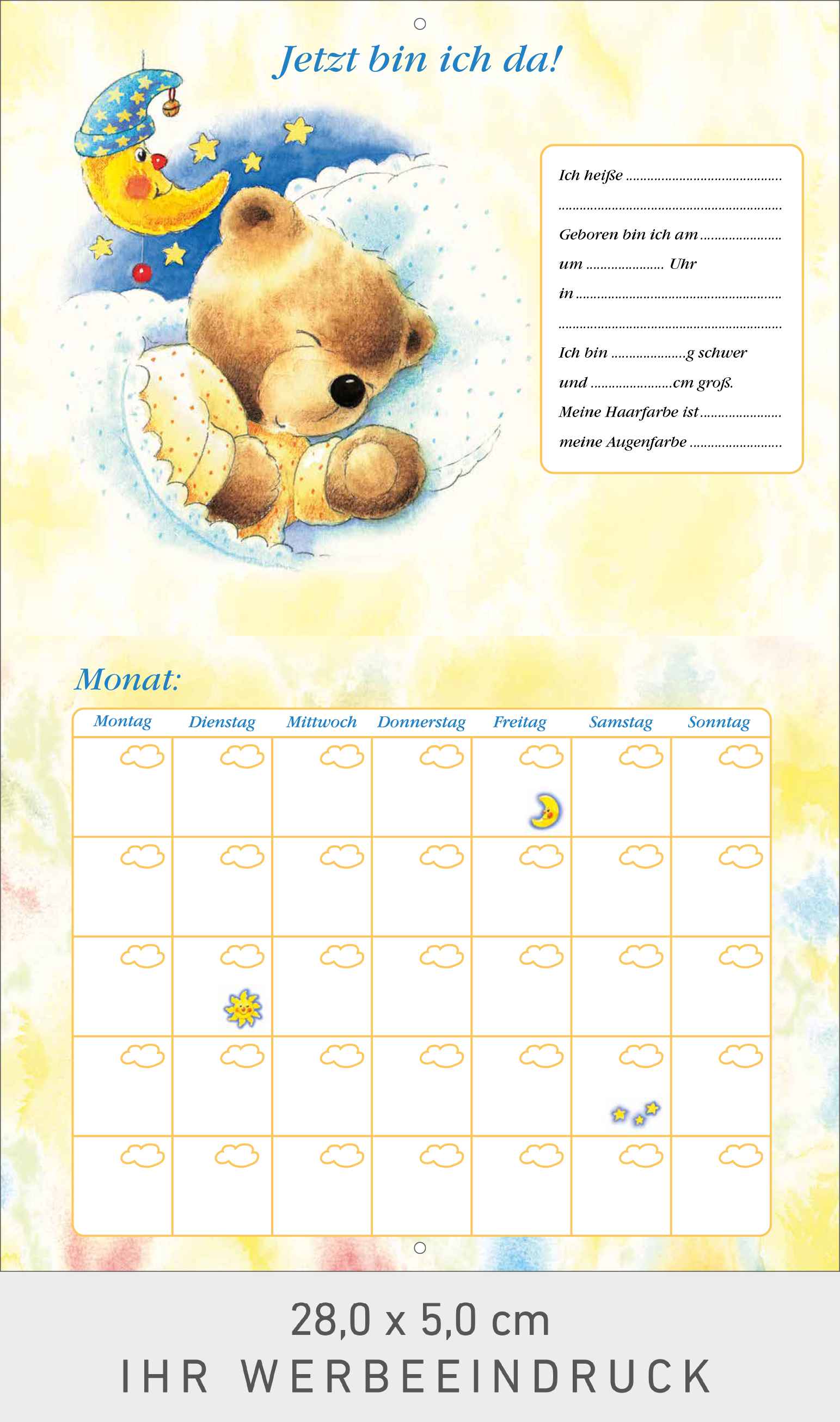 Mein erstes Jahr (Babykalender)