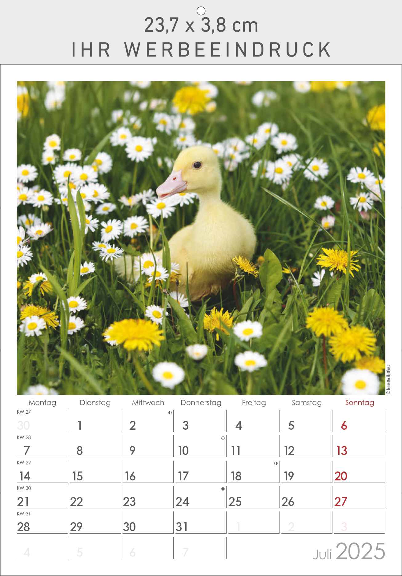 Meine Tiere - Der Tierkalender